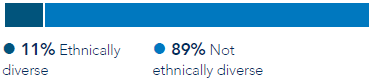 Ethnicity